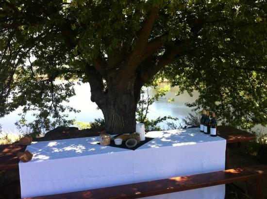 Waterford Estate-斯泰伦博斯必去景点