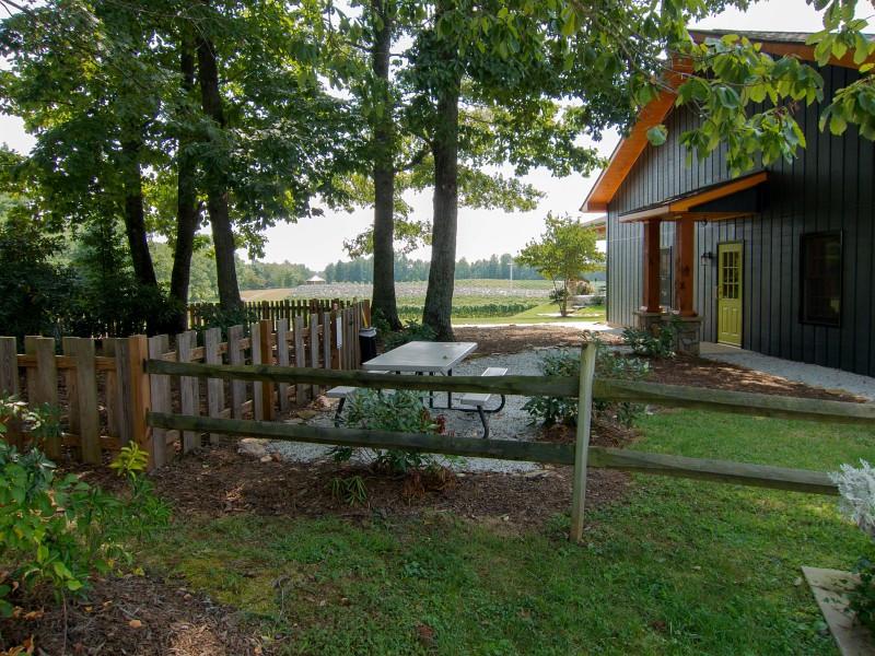 Round Peak Vineyard-Mount Airy必去景点