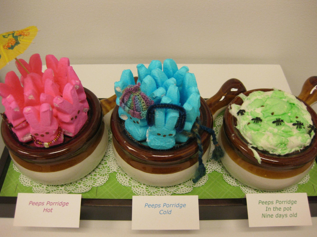 Racine Art Museum-拉辛必去景点