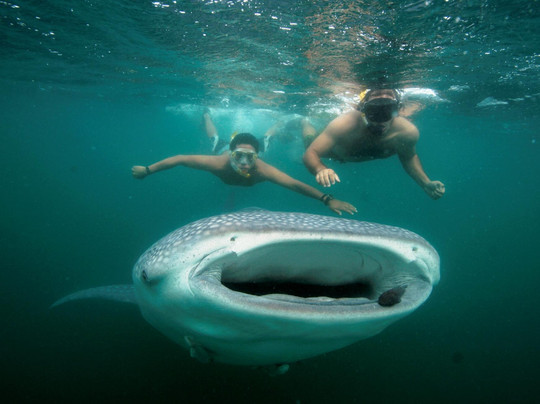 Marlin Adventures-拉巴斯必去景点