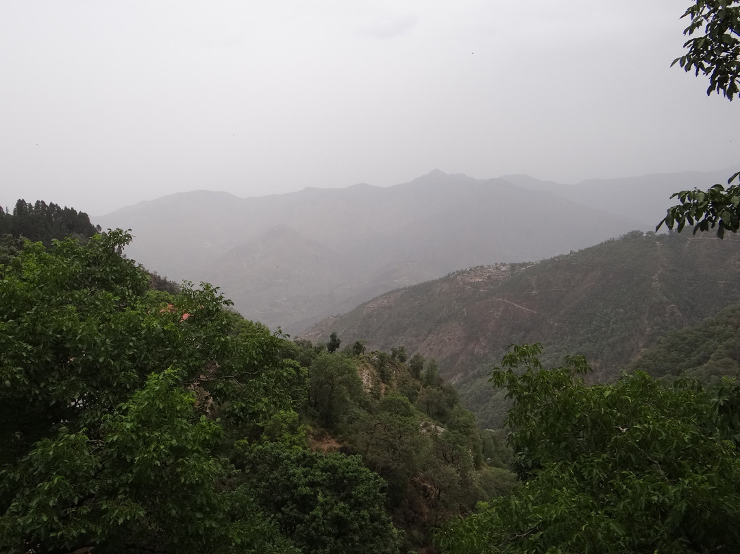 Camel's Back Road景点图片