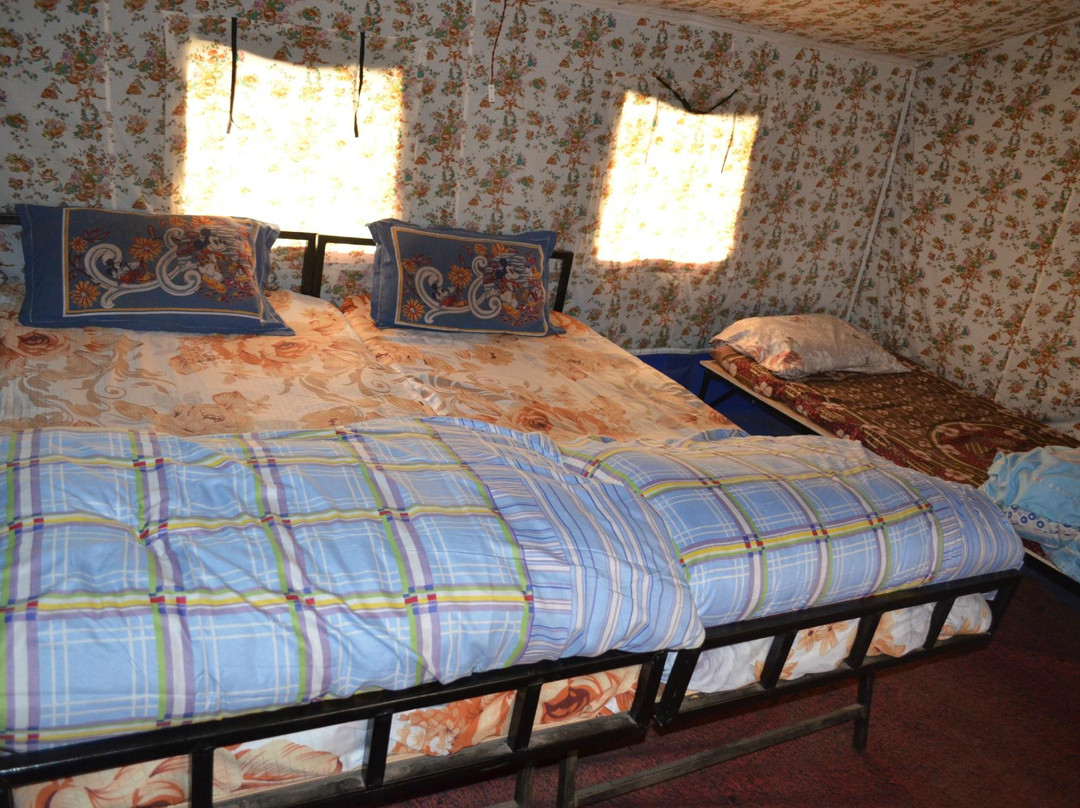 Camp O Royale