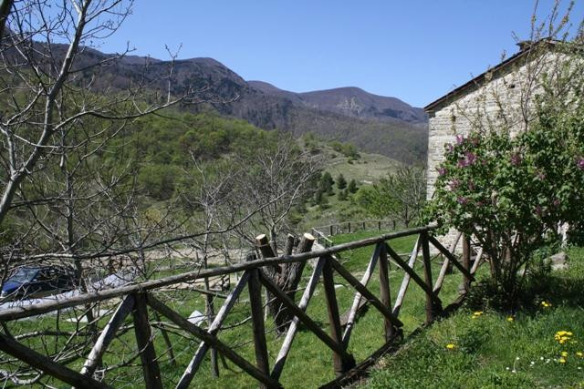 Agriturismo Il Poderone主图