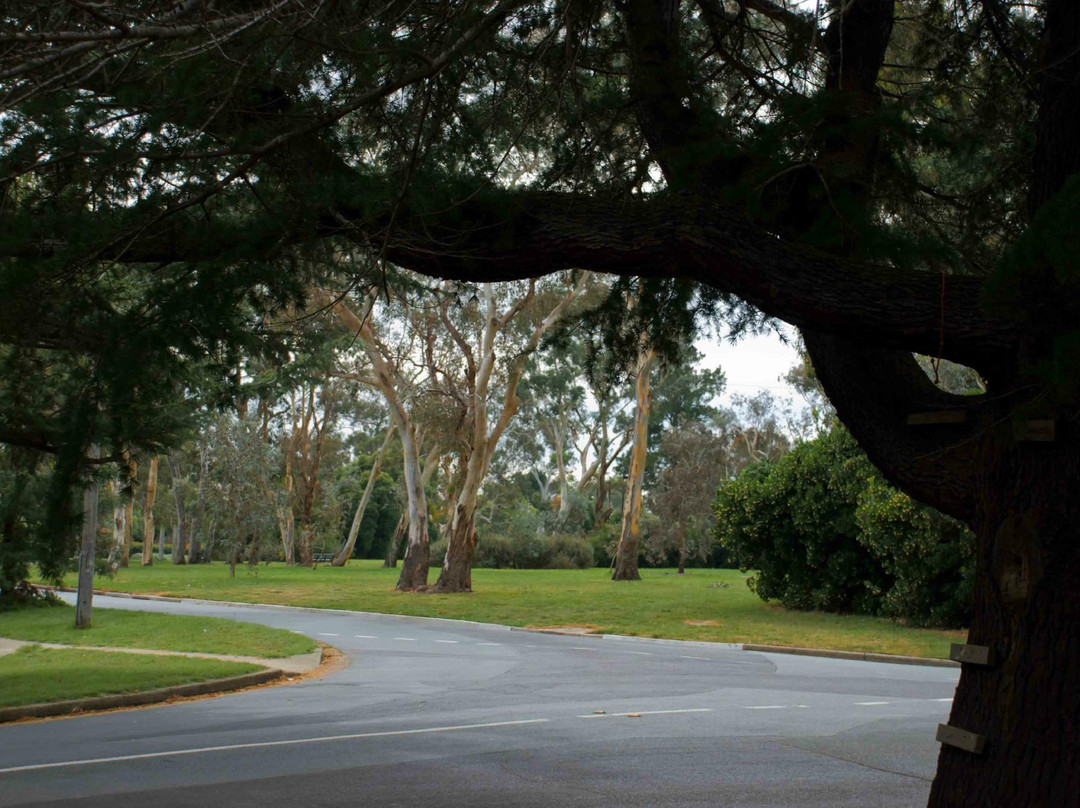 Corroboree Park-堪培拉必去景点