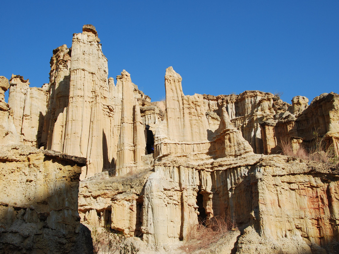 元谋土林风景区-元谋县必去景点