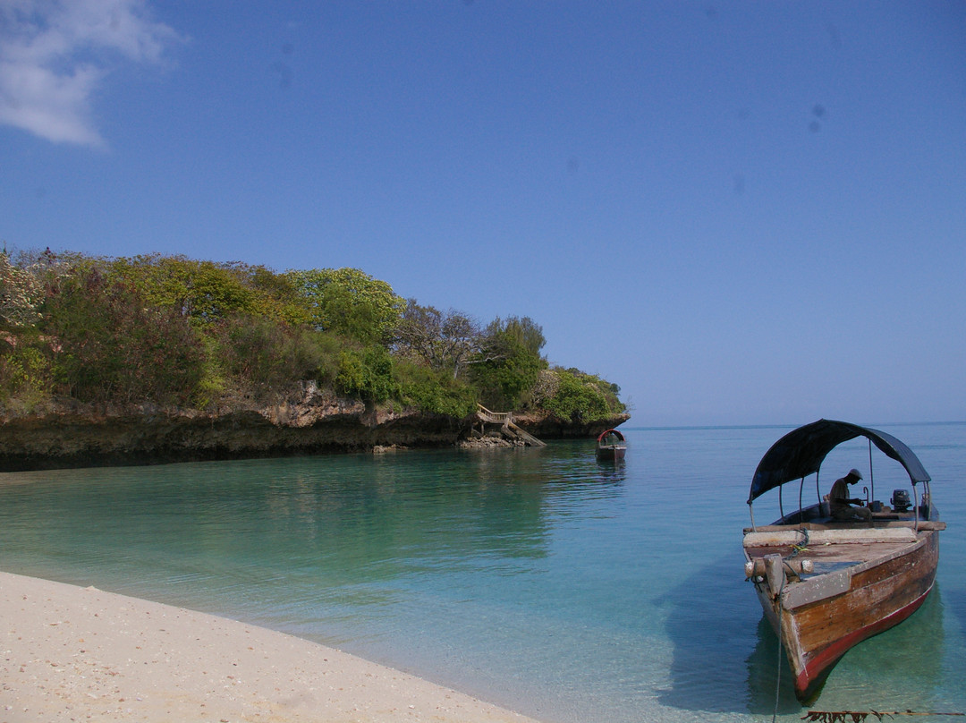 Prison Island - Changuu Private Island景点图片