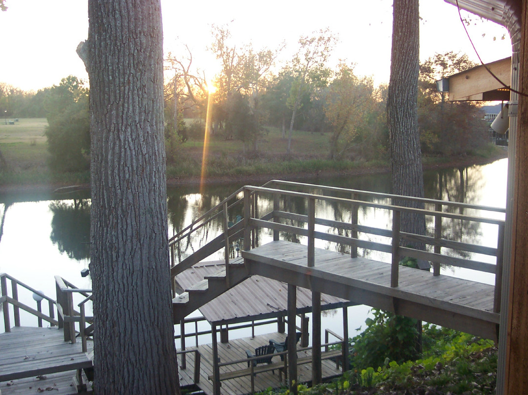 Starlight Plantation主图