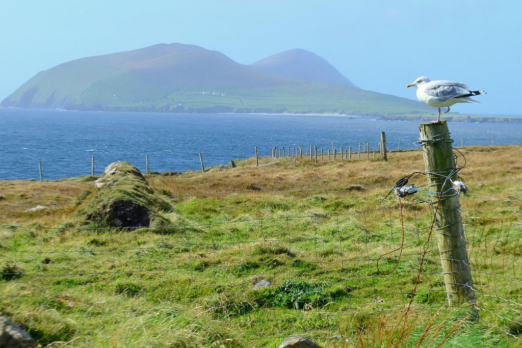 The Blasket Centre - Ionad an Bhlascaoid-Dunquin必去景点