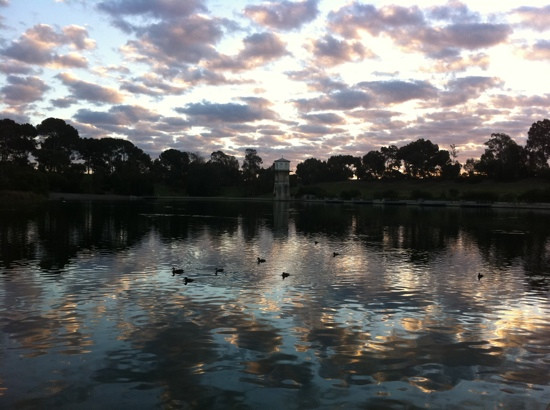 Thorndon Park景点图片
