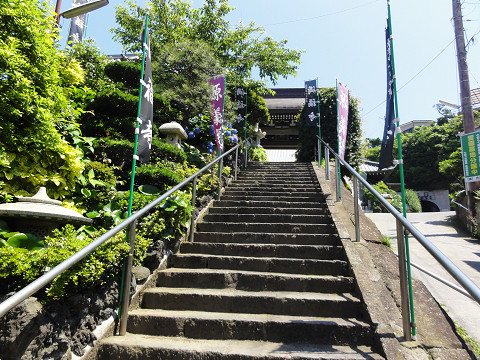 Manpukuji Temple-镰仓市必去景点