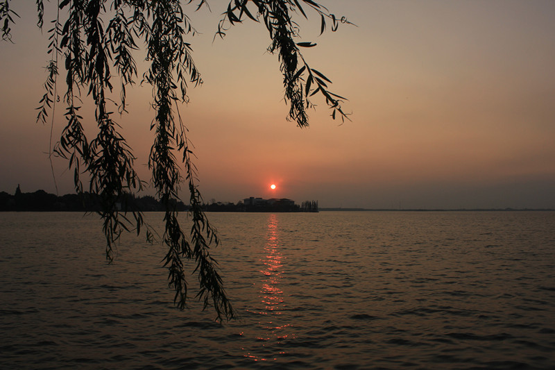 尚湖景点图片