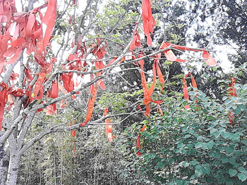 西汉楚王陵-徐州市必去景点