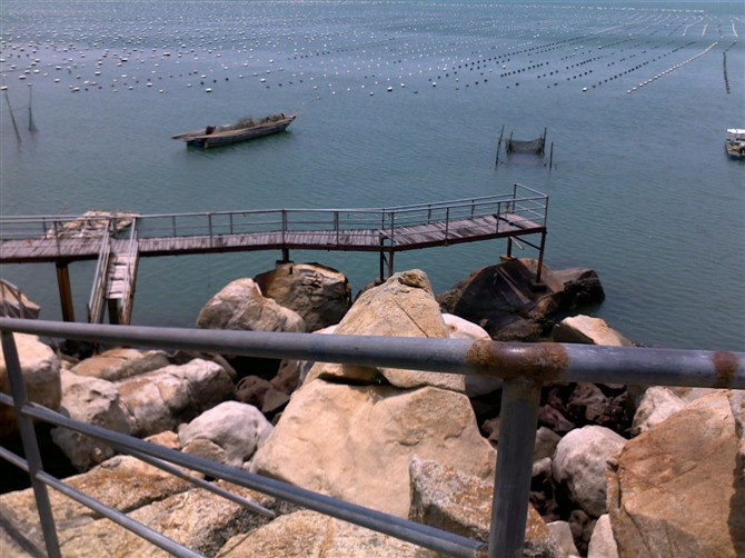 汕头南澳海岛森林公园-南澳县必去景点