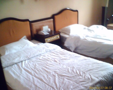 大唐科苑宾馆-客卧