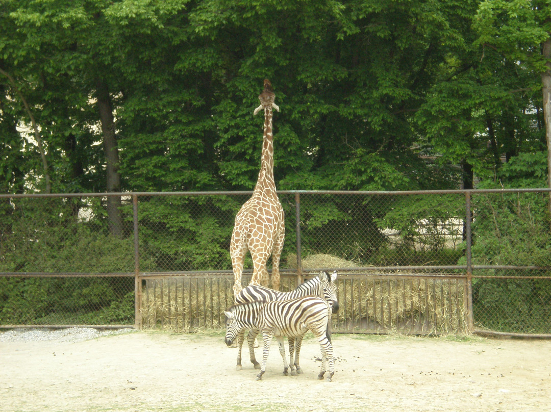 Zoo Brno-布尔诺必去景点