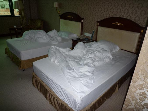 天鹅大酒店主图