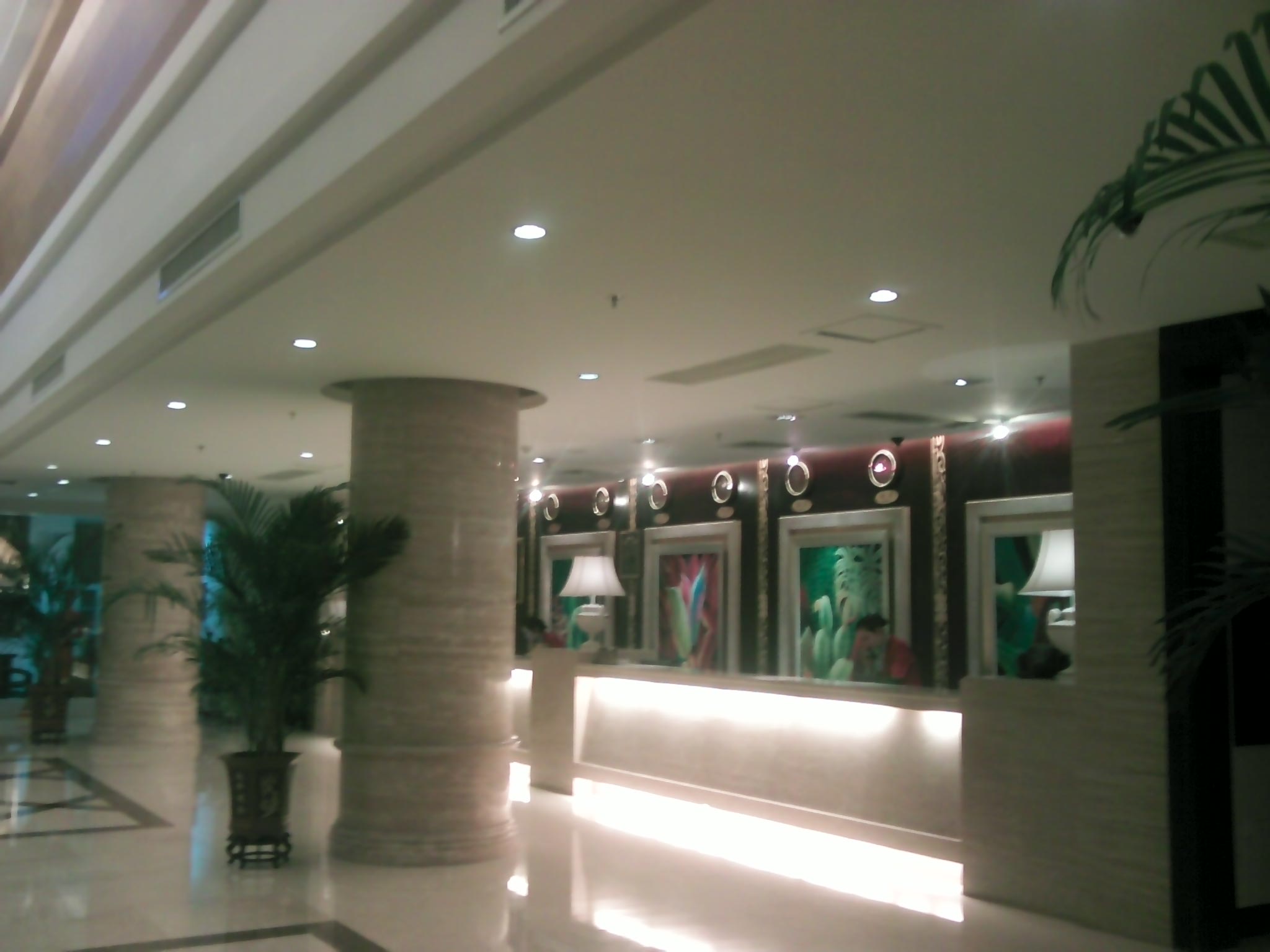 国际园林大酒店-客卧