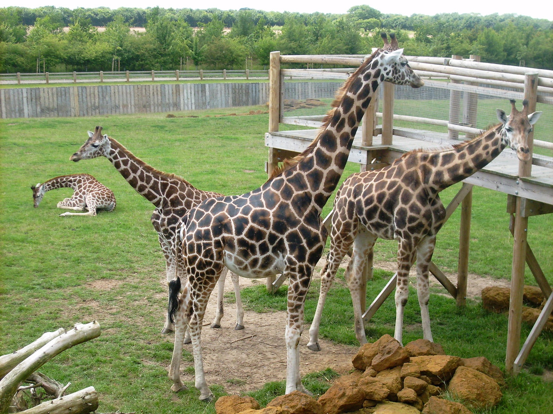 Banham Zoo景点图片
