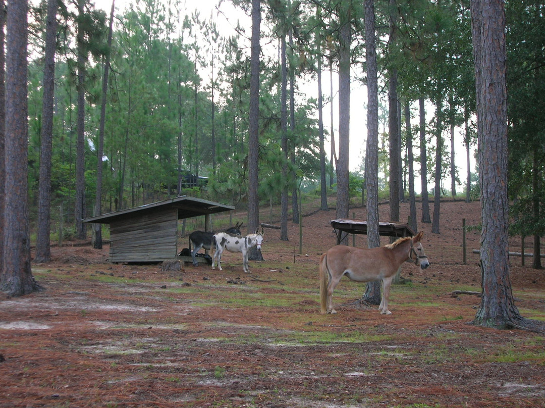 General Coffee State Park-Nicholls必去景点