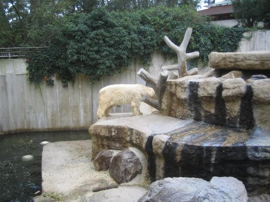 Zoo de La Palmyre景点图片