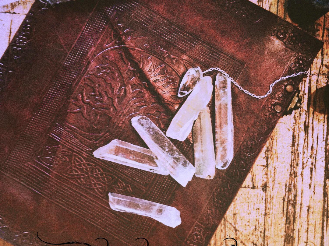 Lobelia's Lair Metaphysical Treasures-纳奈莫必去景点