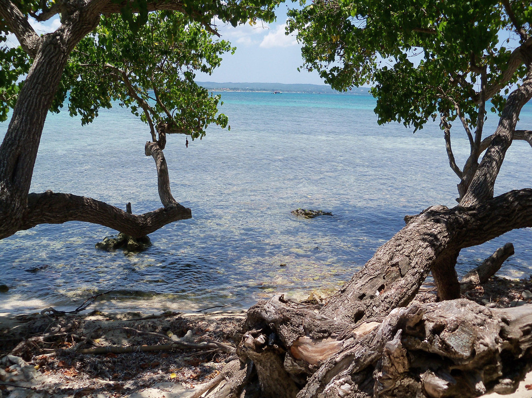 Booby Cay Island景点图片