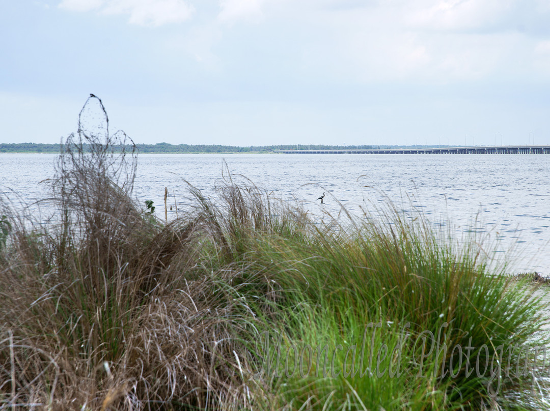 Lake Jesup-桑福德必去景点