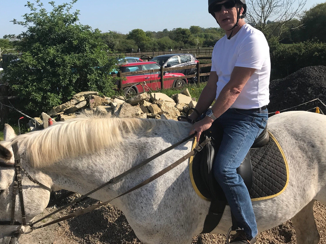 Burley Manor Riding Stables景点图片