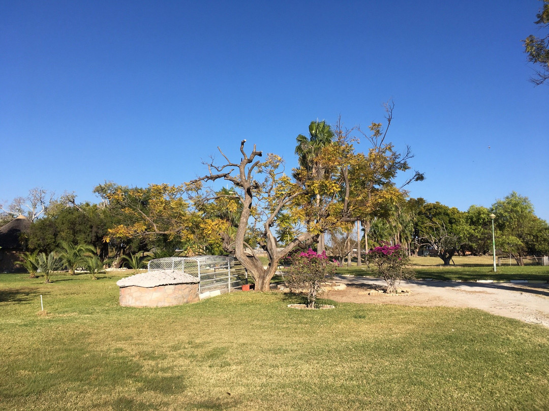 Grootfontein餐馆和美食-Kalkfontein Guest Farm