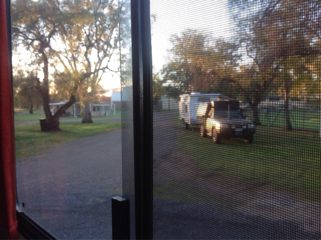 Gunnedah RV Camping Area
