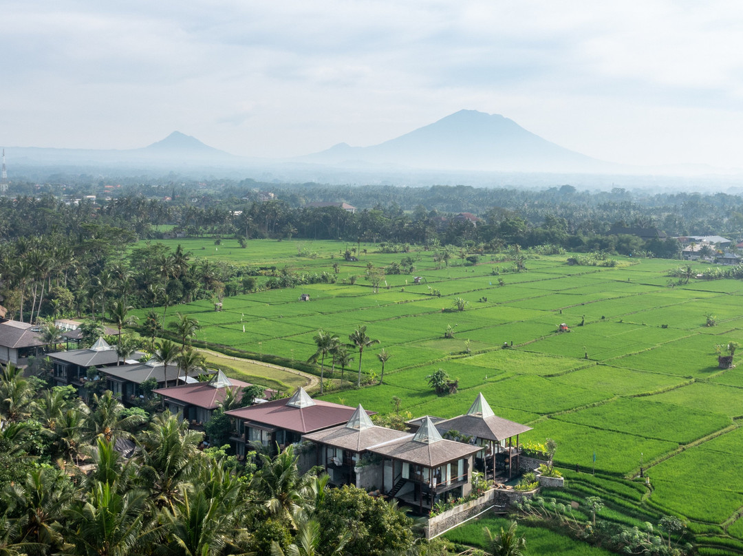 Gdas Bali Health And Wellness Resort