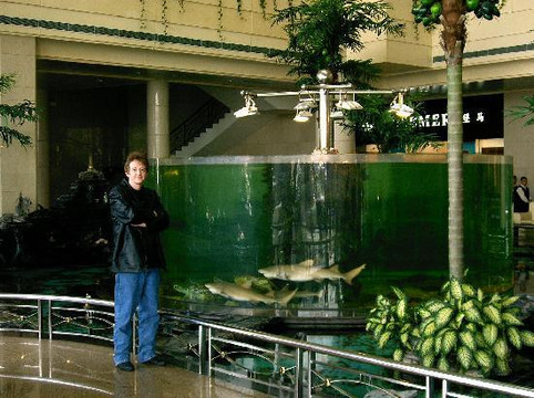 龙泉国际大酒店主图