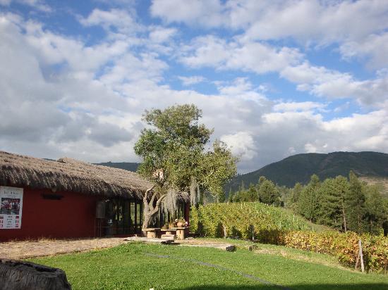Hostal La Cazihita-客卧