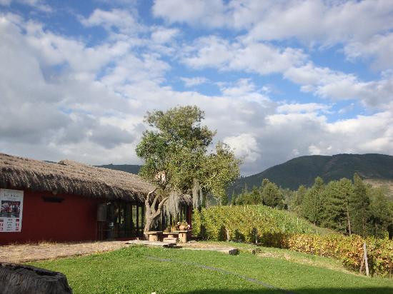 Sogamoso酒店住宿-Hostal La Cazihita