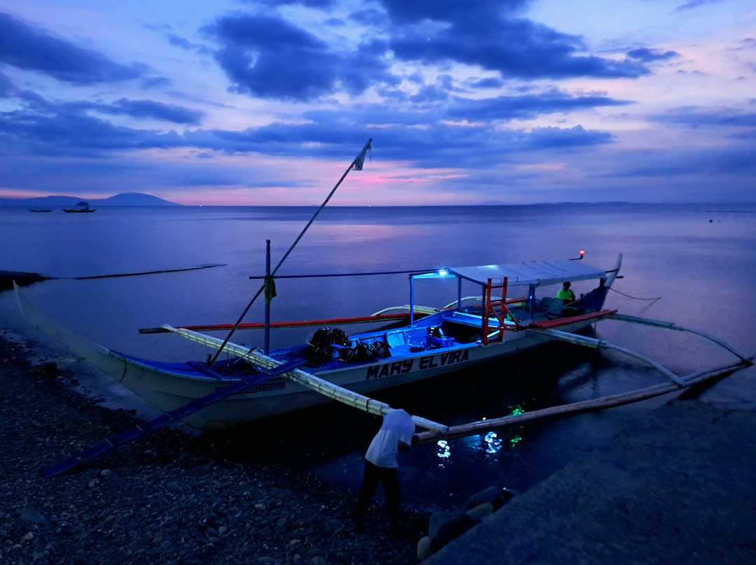 Blue Ribbon Dive Resort主图