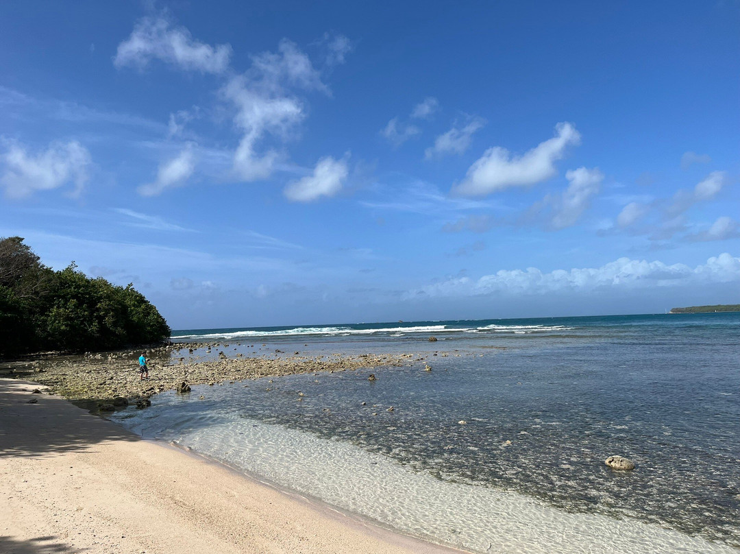 Plage de Petit-Havre景点图片