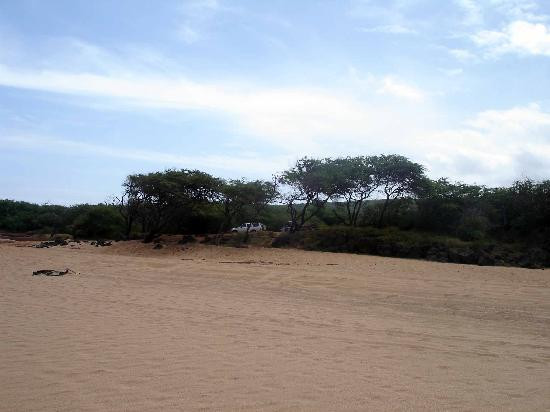 波利胡亚海滩-拉奈岛必去景点