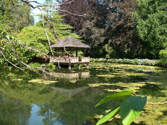 Hatley Park National Historic Site景点图片