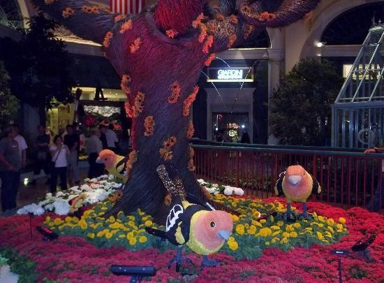 贝拉吉欧温室植物园-拉斯维加斯必去景点