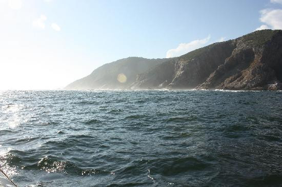 Knysna Adventures-克尼斯纳必去景点