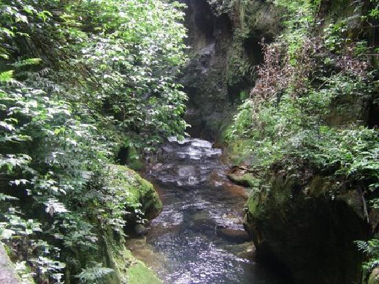 Adventure Tours Hacienda Guachipelin景点图片