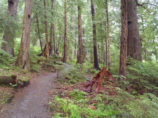 Herring Cove Trail-锡特卡必去景点