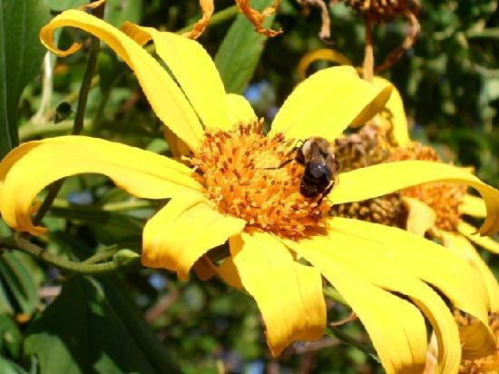 Central Florida Zoo & Botanical Gardens-桑福德必去景点