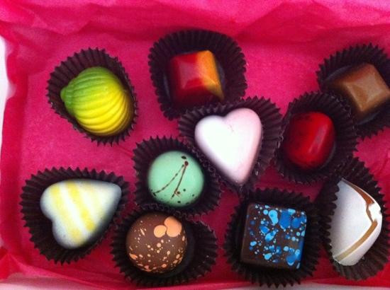 Le Macaron-萨拉索塔必去景点