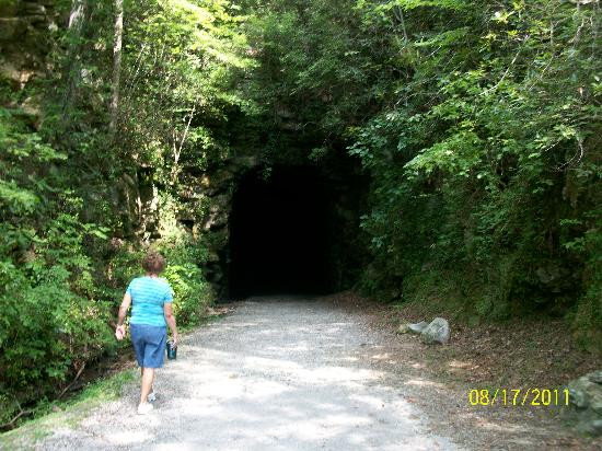 Cherokee Foothills Scenic Highway-南卡罗来纳必去景点