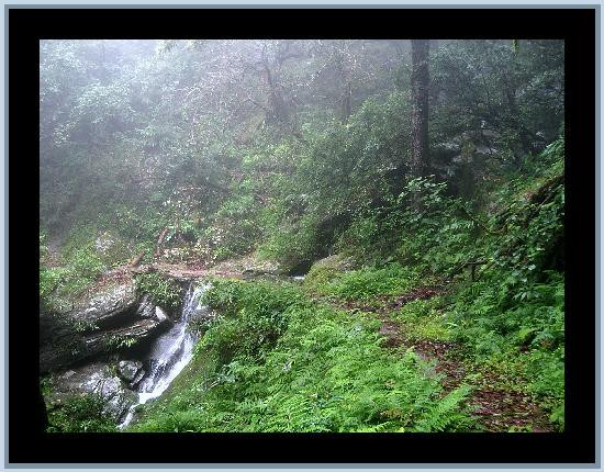 Binsar Wildlife Sanctuary景点图片