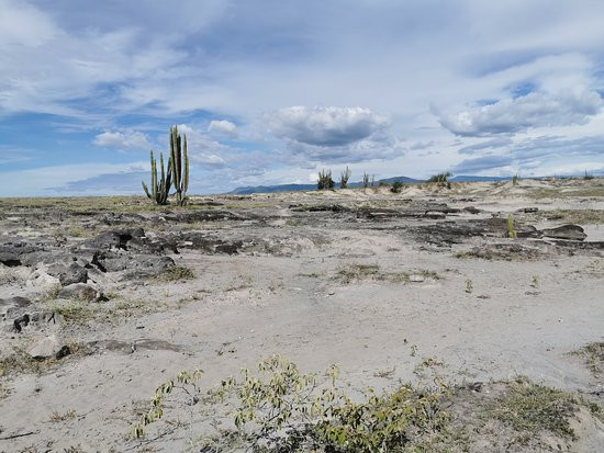 Naventura-Paicol必去景点