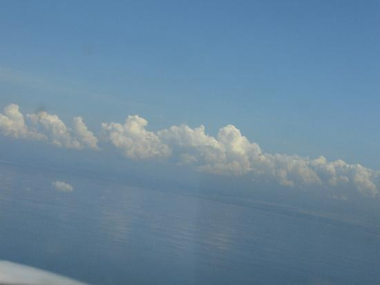 Skydive Spaceland Florida-克莱维斯顿必去景点