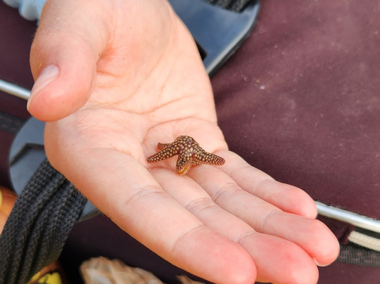 Biotica EcoTours - Day Tours-萨拉索塔必去景点