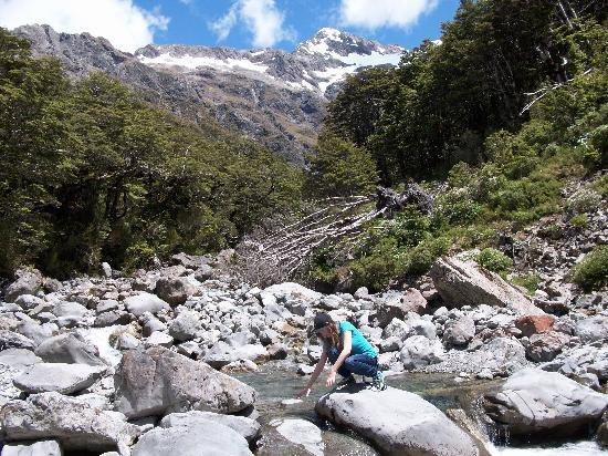 Arthur's Pass Hiking & Tranz Alpine One Day Tour景点图片